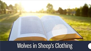 Wolves in Sheep's Clothing - Matthew 7:15-23; Jude 3, 4