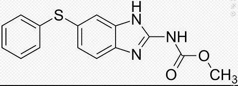 Fenbendazol & Wasserstoff Dr Pokrywka