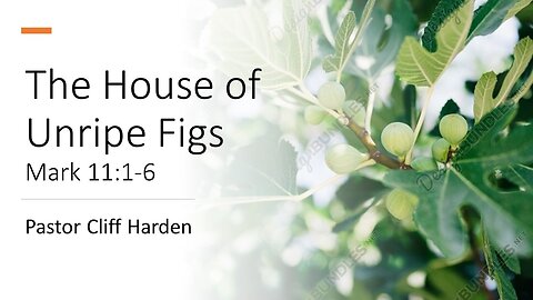 “The House of Unripe Figs” by Pastor Cliff Harden