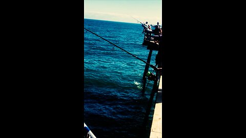 Bluefishing on an OBX pier
