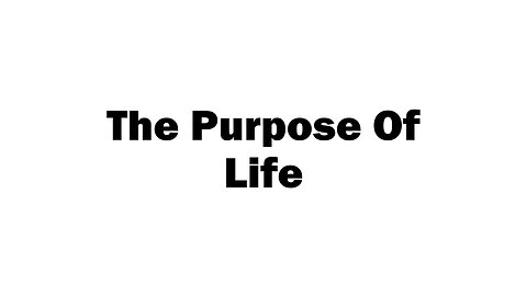 The Purpose Of Life