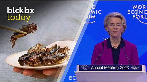 blckbx today: Wat volgt na WEF-meeting? | Push om insecten als voedsel | Oekraïne-oorlog escaleert