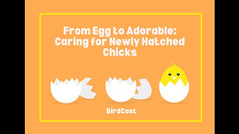 From Egg to Adorable: Caring for Newly Hatched Chicks.