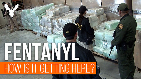 Fentanyl: Where is it Crossing the Border? | VDARE Video Bulletin