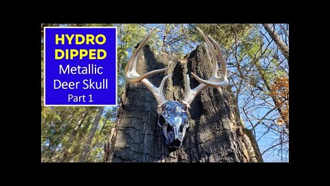 HYDRO DIPPED Metallic Deer Skull with Lightning Charred Log Mount - Part 1