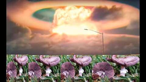 Apophis Asteroid Wormwood Apocalypse 19-21 Armageddon Mushroom Audiobook