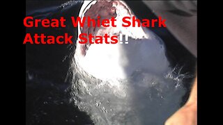 Great White Shark Attack Stats thru 206 Covered to Date