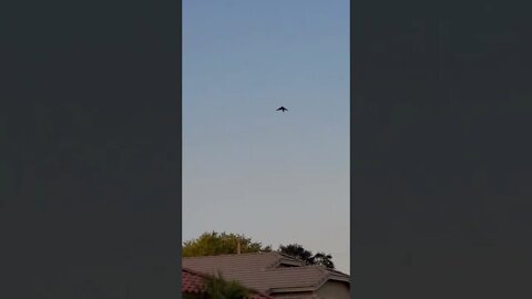 FILMED OVER GILBERT AZ 6/1/2021 UFOS? DRONES? ALIENS?