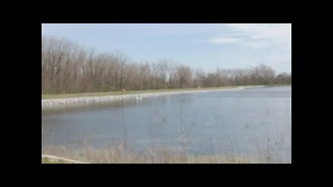 04-22-22 * Schoonover Lake #walking #trails