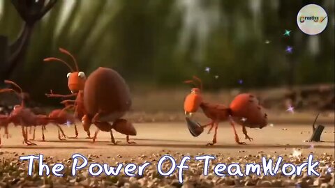 Funny Video Of Ants Doing Teamwork