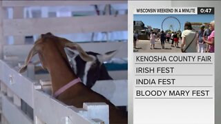 Wisconsin Weekend in a Minute: Irish Fest, IndiaFest, Bloody Mary Fest