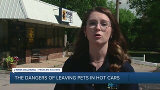 Looking out for pets in hot cars