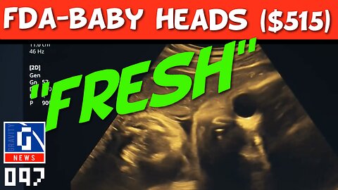 FDA—Bought "Fresh" Baby Heads $515 w/Taxpayer Money