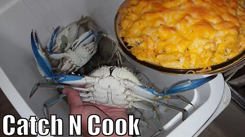 Fishing Florida Blue Crab | catch n cook