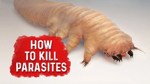 How To Kill Parasites? - Dr. Berg