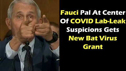 Fauci Pal At Center Of COVID Lab-Leak Suspicions Gets New Bat Virus Grant