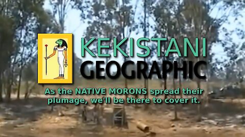 Kekistani Geographic Opening Theme | 432hz [hd 720p]