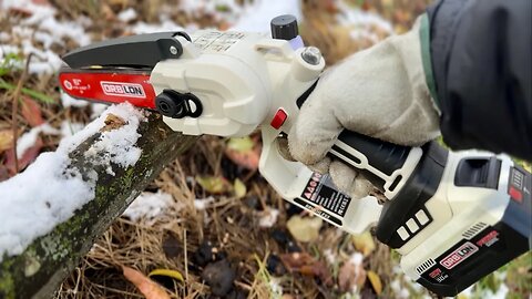 Can This Tiny Cordless Chainsaw Cut Up A Tree?