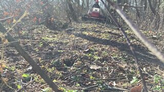 Ventrac 4500Y diesel Using tough cut to finish a trail.