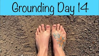 Grounding day 14 - two weeks of being barefoot!