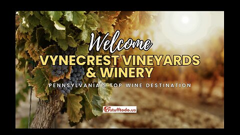 Vynecrest Vineyard and Winery: Pennsylvania’s Top Wine Destination | Stufftodo.us