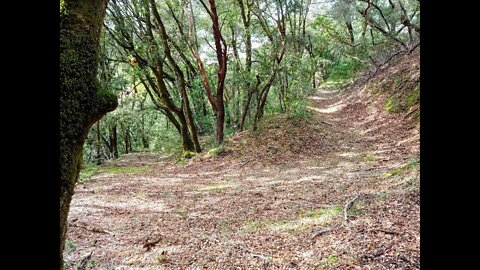 Unnamed 1890's Road up Montebello Ridge