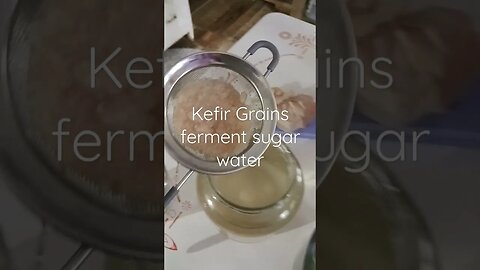 Water Kefir #waterkefir #fermentedfoods #fromscratch #shorts