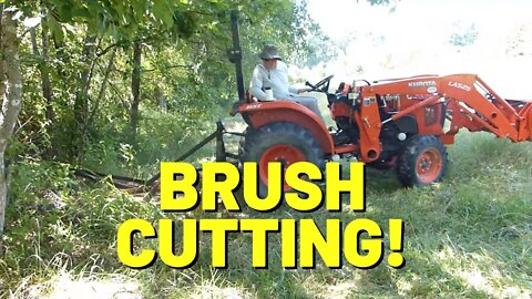 #159 Cutting Brush and Planning A Drainage Project