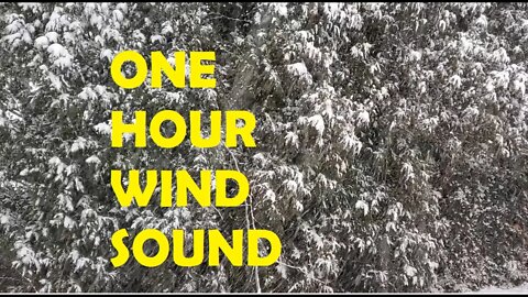Snowy Wind sound