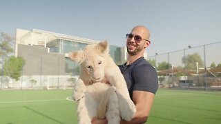 ANDREW TATE TRIES TO BUY A TIGER