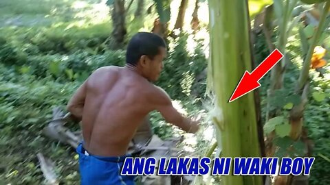 ANG LAKAS NI WAKKI BOY,,, PANGLABAN NI BOY TAPANG,,