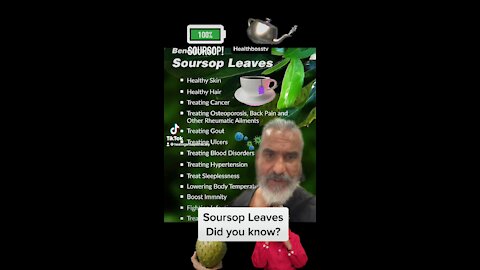 Soursop Leaf & Did you know?