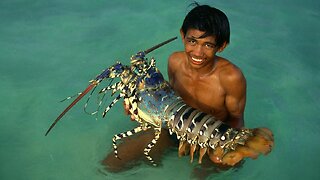 Japanese Street Food - $600 GIANT RAINBOW LOBSTER Sashimi Japan Seafood