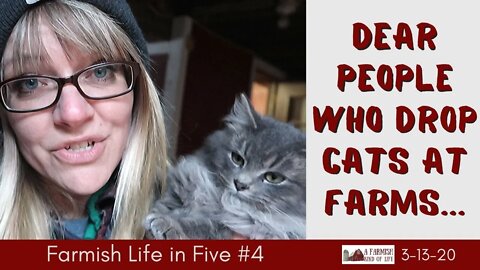 Dear People Who Drop Cats at Farms | Farmish Life in Five | 3-13-20