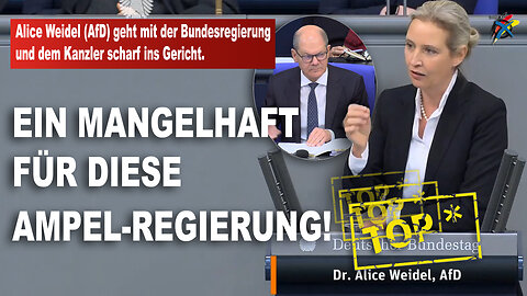 Alice Weidel (AfD) geht mit der Bundesregierung und dem Kanzler scharf ins Gericht.