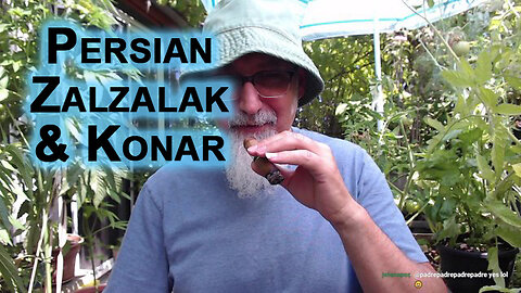 Iranian Fruit I Miss That I Can’t Get in Canada: Persian Zalzalak and Konar