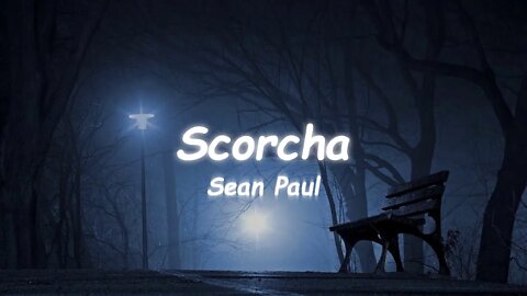 Sean Paul - Scorcha (Lyrics)