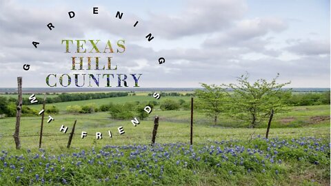Gardening for Beginners in the Texas Hill Country