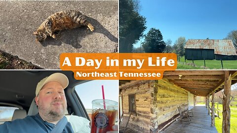 Day in the Life - Morning Ritual, Tennessee Backroads, Coffee & a Cat