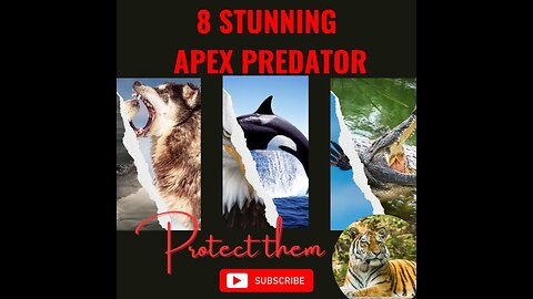 Exploring the World of Apex Predators