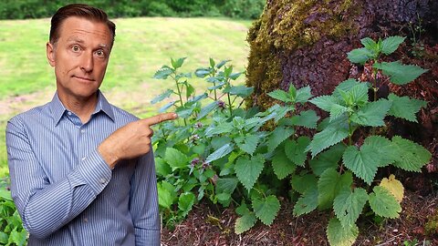 # 1 Best Backyard Weed for Arthritis, Pain, Inflammation (RHEUMATOID, OSTEO & GOUT)