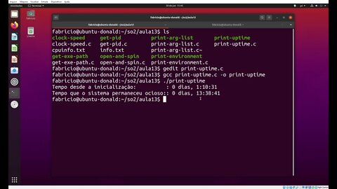 print-uptime.c - Imprime o Tempo desde a Inicialização do Sistema e o Tempo Ocioso no Linux