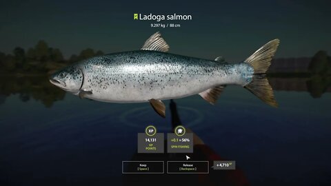 Russian Fishing 4 Volkhov River Ladogo Salmon 9.297 Kg