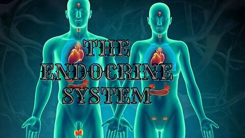 💫Absolute Healing of the Endocrine System 💫Restoration and Ideal Functioning of the Thyroid 💫