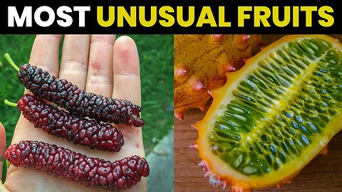 Top 10 Strangest Fruits