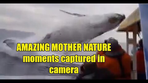 AMAZING MOTHER NATURE moments captured in camera
