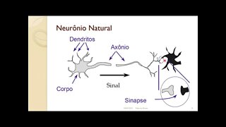 06 - Redes Neurais Artificiais - Parte 1 - Computação Inspirada pela Natureza