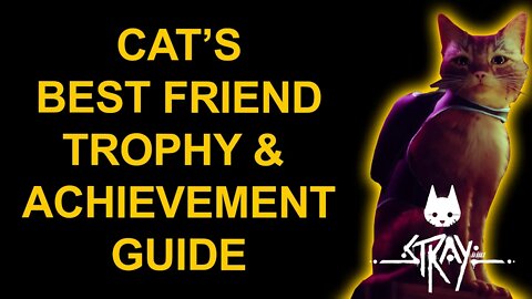 Cat's Best Friend - Stray - Trophy / Achievement Guide