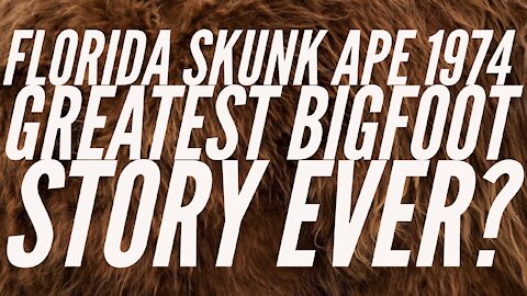 Greatest Bigfoot Story Ever? Florida Skunk Ape Described by Eyewitness