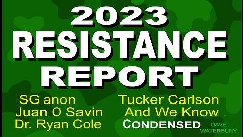 2023 RESISTANCE REPORT - CONDENSED